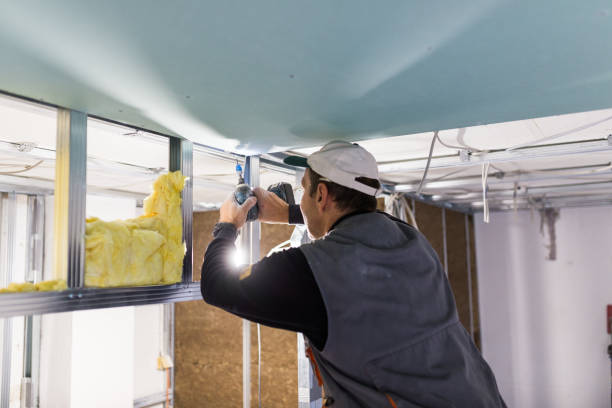 Best Local Insulation Services  in South Coventry, CT