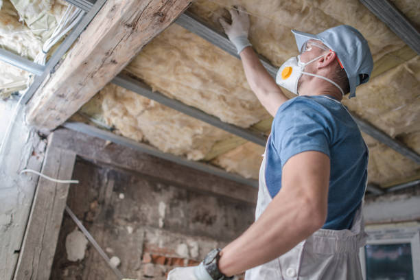 Insulation Inspection Services in South Coventry, CT